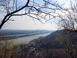 Blick vom Nasenweg über Donau und Wien