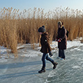 Eislaufen am Neusiedlersee