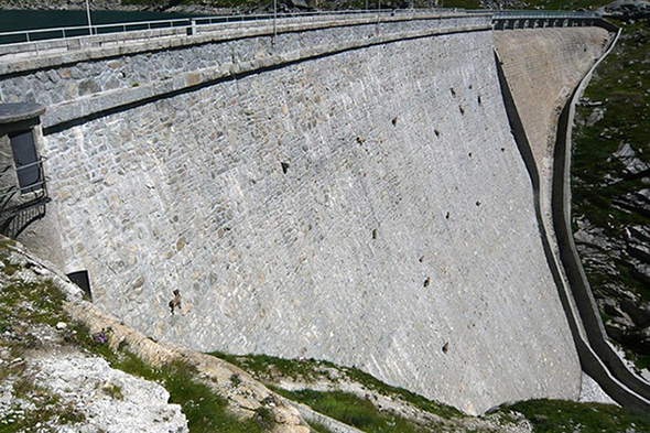 Gämsen auf Staumauer