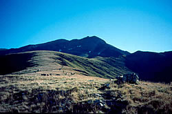 Der Pico de Bachimala