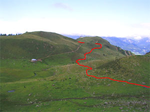 Abstiegsweg (Wildalmen bis Lärchfilzkogel  Bergstation) 