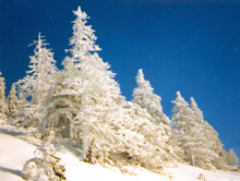 Winterlandschaft am Schnalzstein