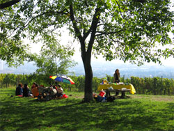 Picknick beim Schloss Wilhelminenberg